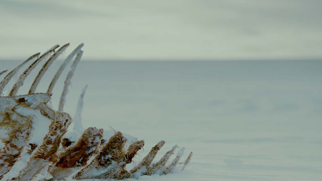 Impactist FX Fargo Still Frame 11