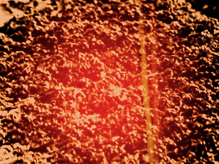 Impactist Lunch Special Still Frame 02