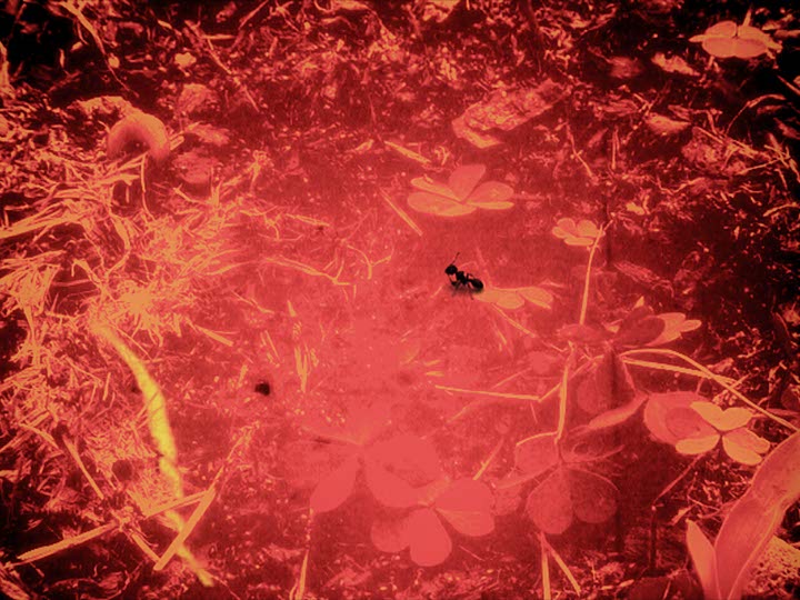 Impactist Lunch Special Still Frame 04