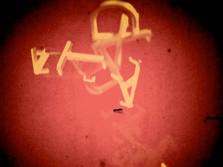 Impactist Lunch Special Still Frame 05