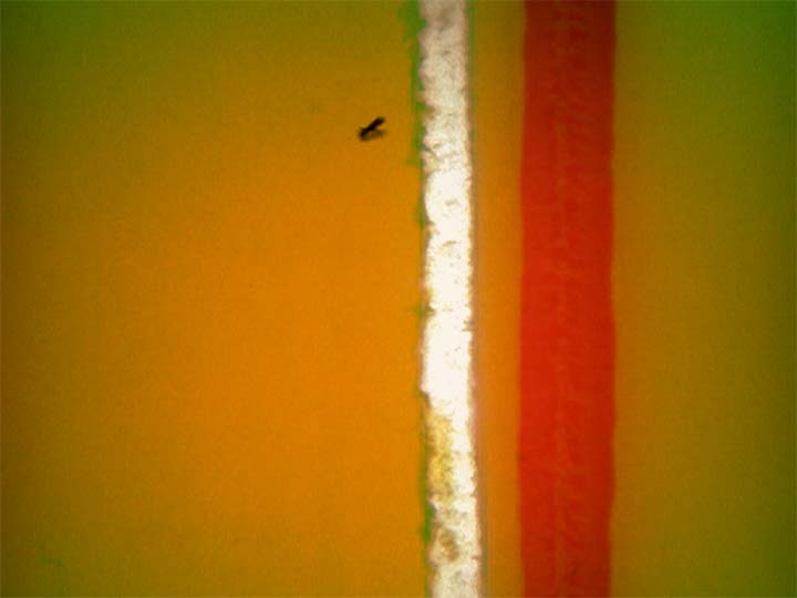 Impactist Lunch Special Still Frame 06