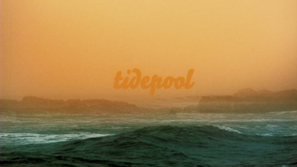 Impactist Tidepool Still Frame 07