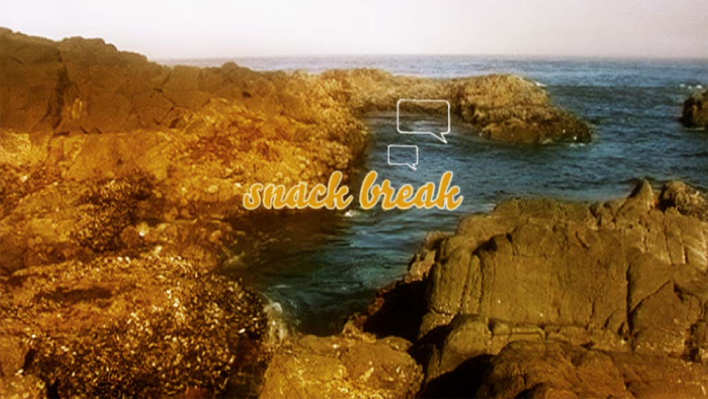 Impactist Tidepool Still Frame 04