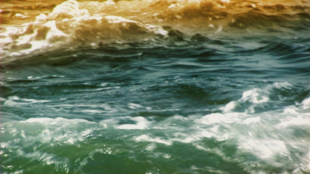 Impactist Tidepool Still Frame 05