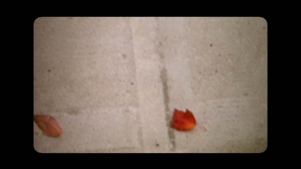 Impactist Collection Still Frame 03