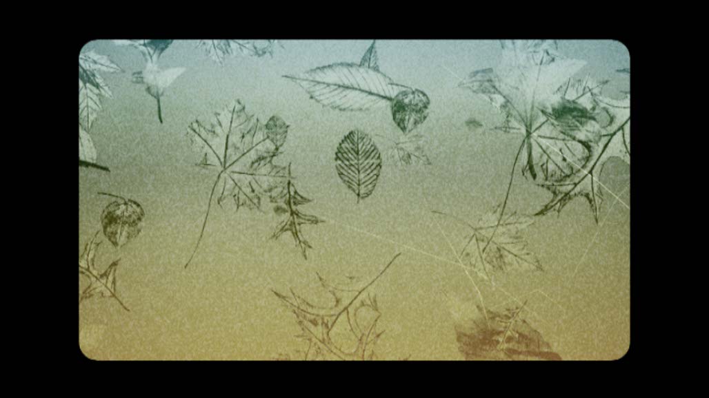 Impactist Collection Still Frame 07