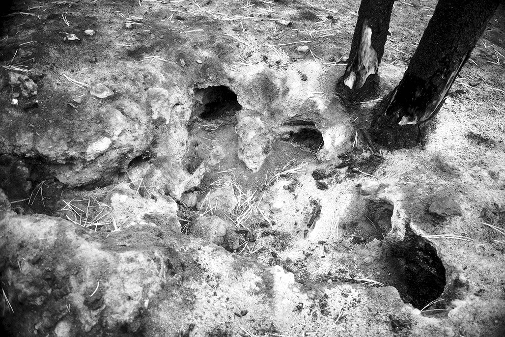 Impactist Winter Fire Image 02