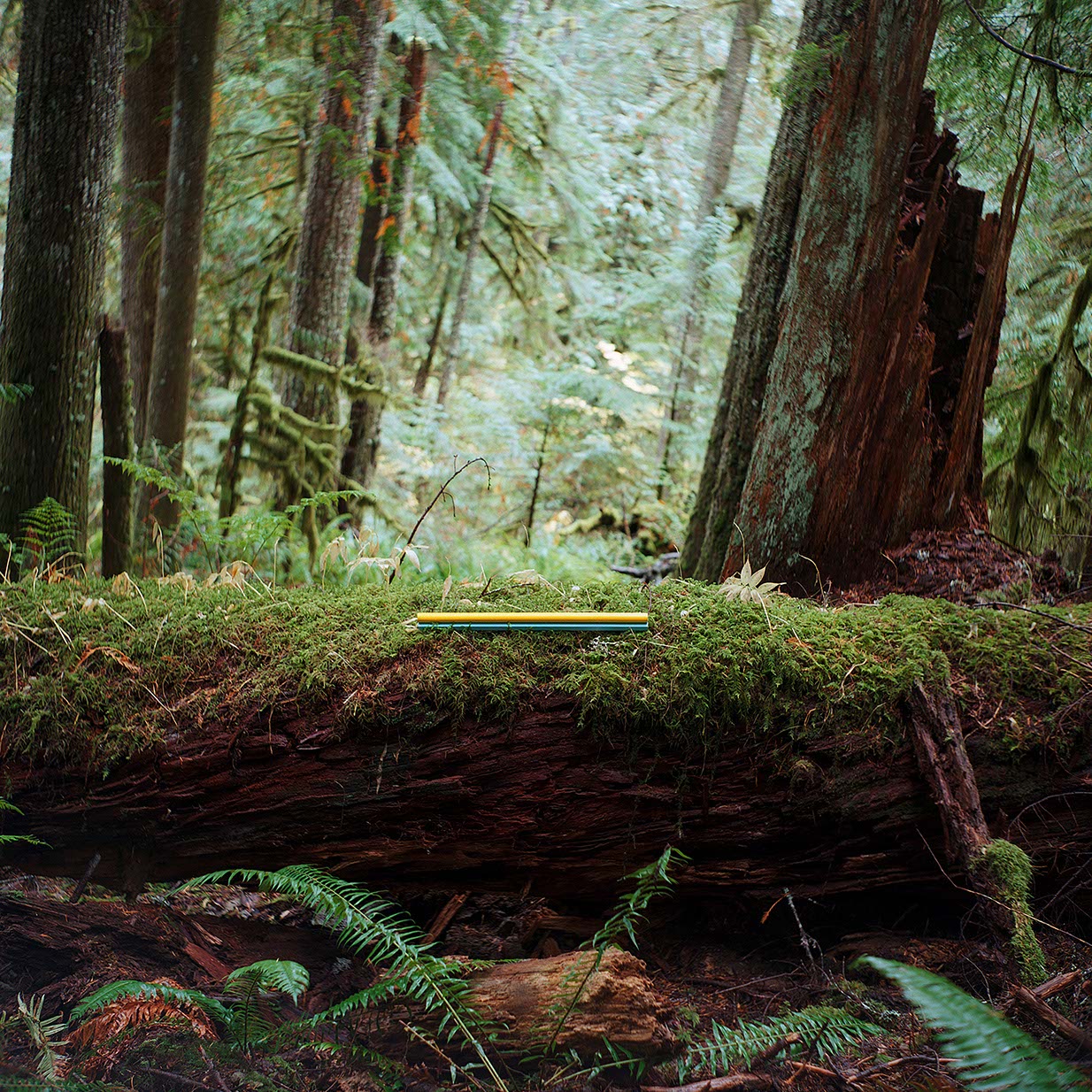 Impactist Flurn Image 04