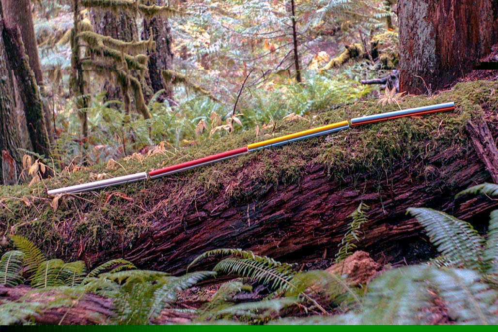 Impactist Flurn Image 02