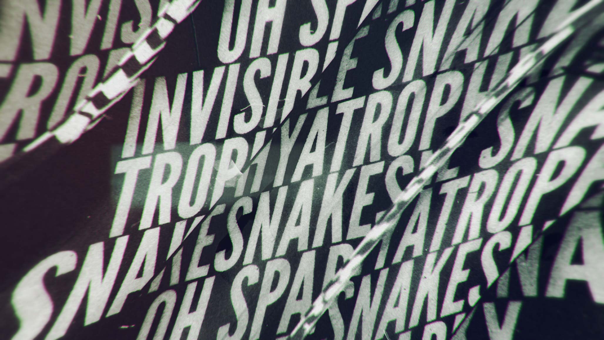 Impactist Invisible Snake BG Image 02
