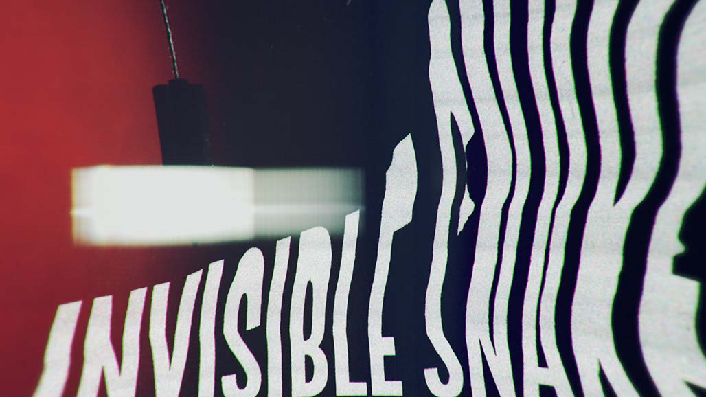 Impactist Invisible Snake Still Frame 09