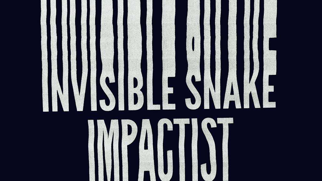 Impactist Invisible Snake Still Frame 19