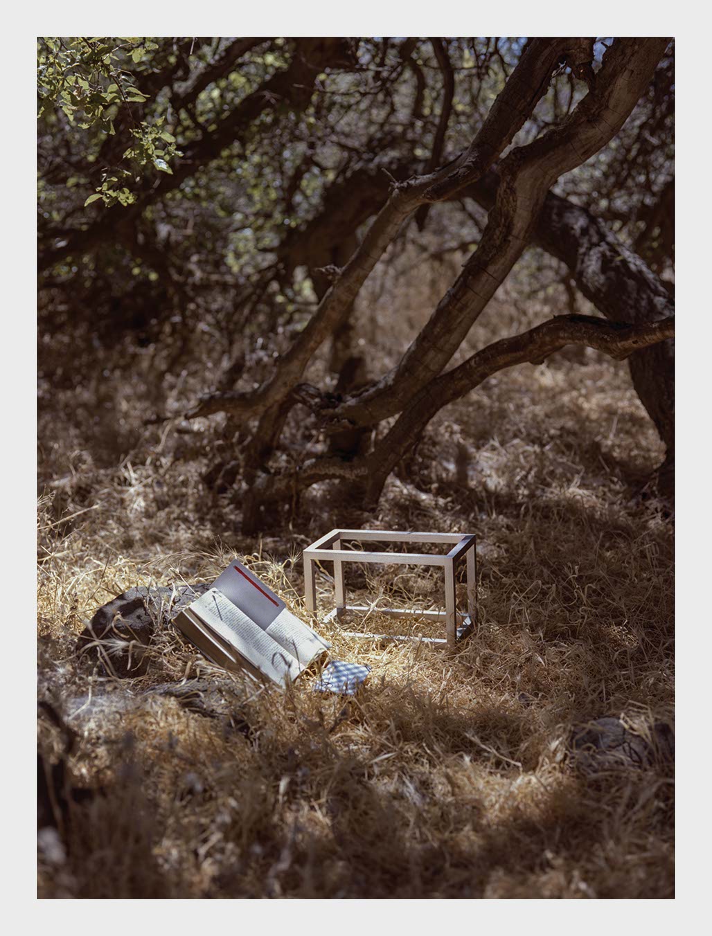 Impactist Trophyatrophy Image 08