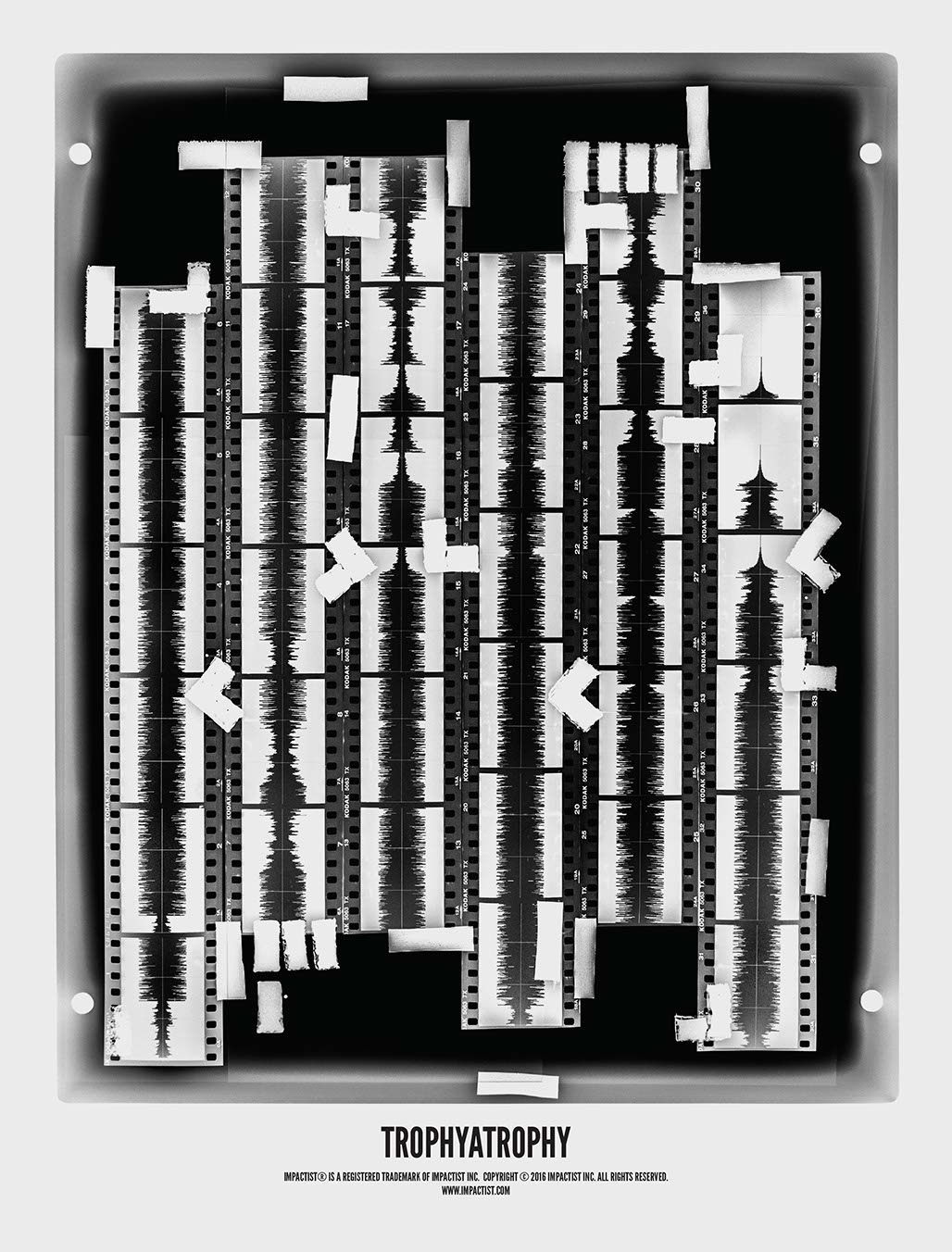 Impactist Trophyatrophy Image 16