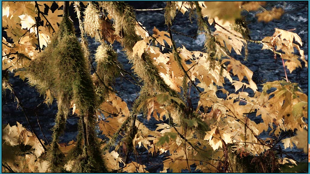 Impactist Kin Still Frame 04