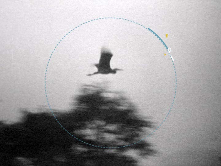 The Magical Number Seven Image