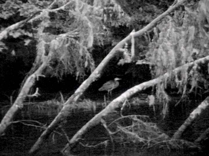 Impactist Magical Still Frame 01