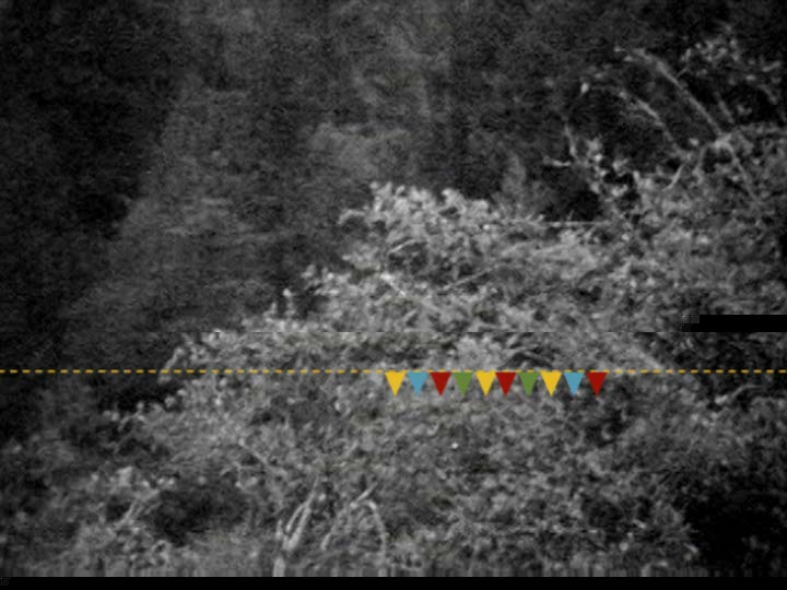 Impactist Magical Still Frame 11