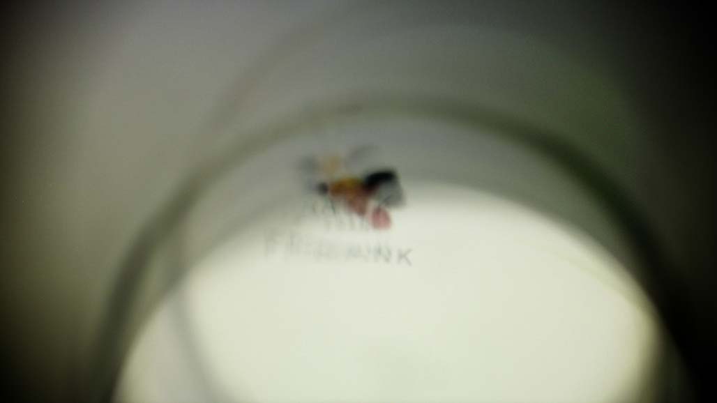 Impactist Micrhomage Still Frame 05