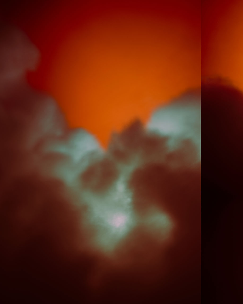 IMPACTIST The Owl Image 15