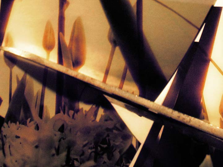 Impactist Papers Still Frame 02