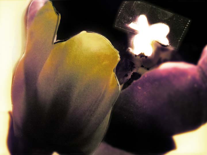 Impactist Papers Still Frame 04