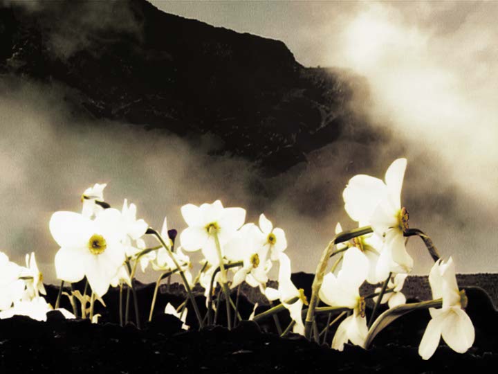 Impactist Papers Still Frame 05