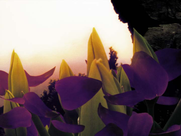 Impactist Papers Still Frame 06