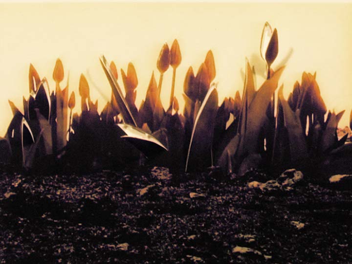 Impactist Papers Still Frame 07