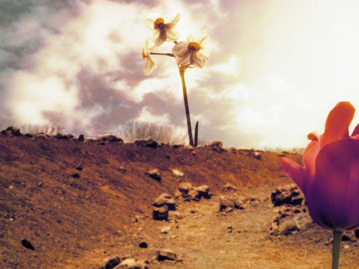 Impactist Papers Still Frame 08