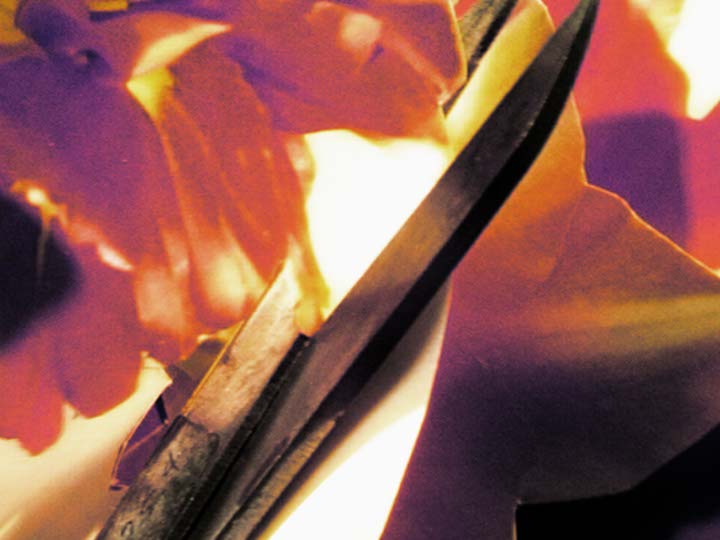 Impactist Papers Still Frame 09