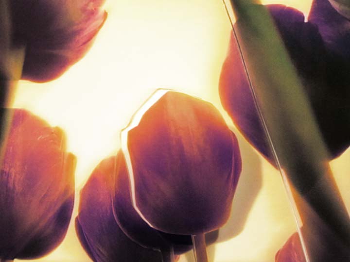 Impactist Papers Still Frame 10