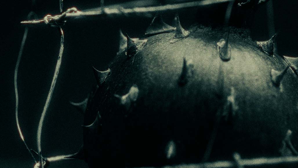 Impactist PARTICIPANT Still Frame 12