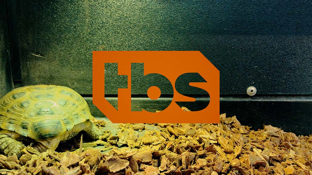 Impactist Pet Sounds Still Frame 10