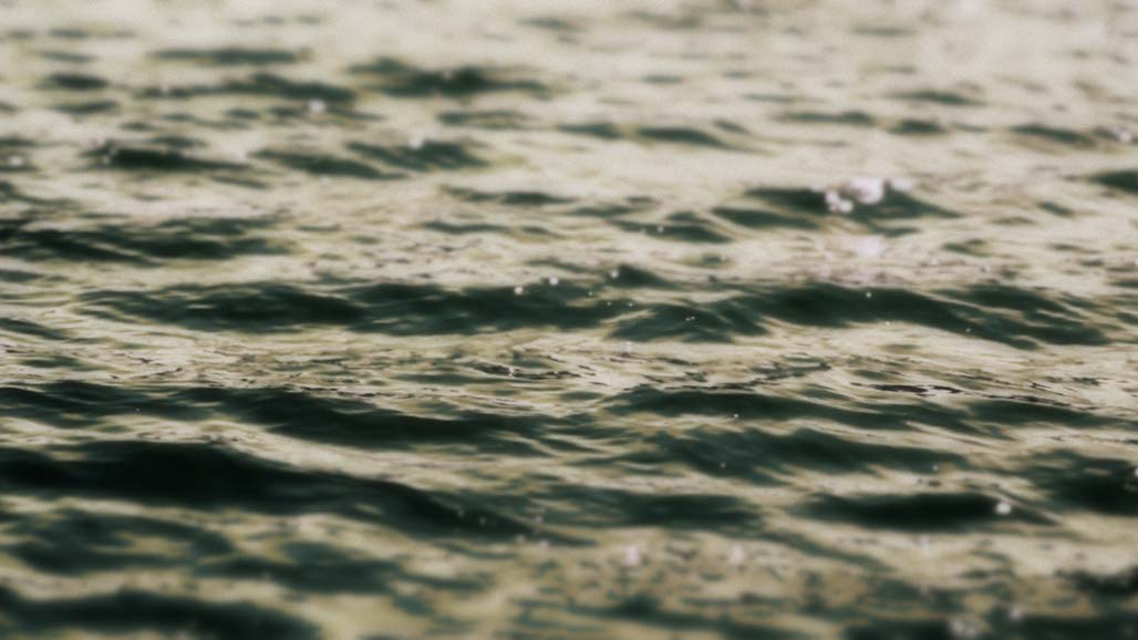 Cup of Water Crying Image