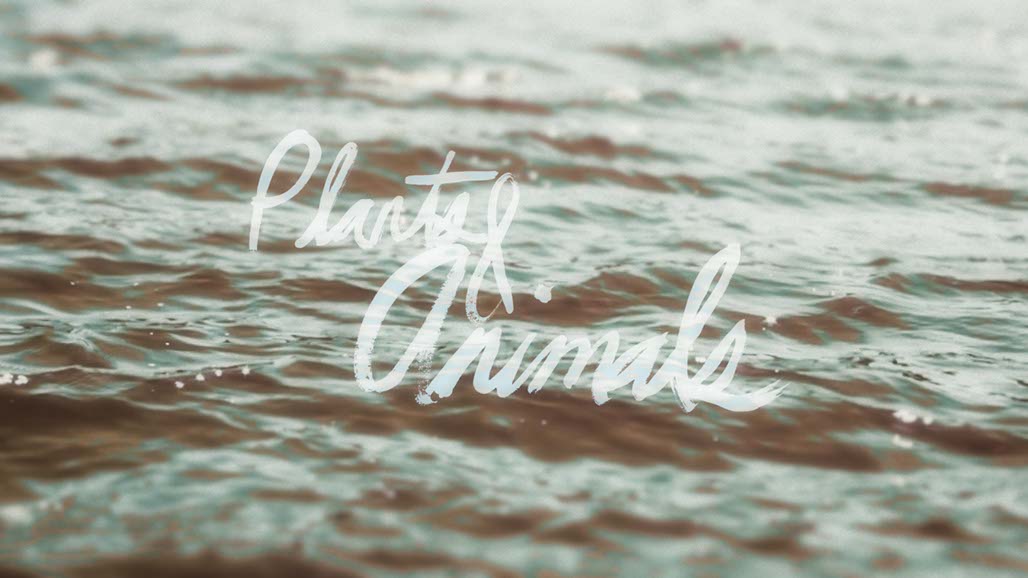 Impactist Cup of Water Crying Original Sketch Still Frame 02