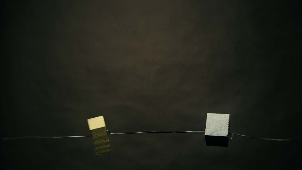 Impactist Planting Seeds Still Frame 03