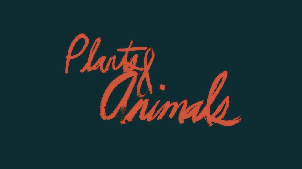 Impactist Summer Song Still Frame 04