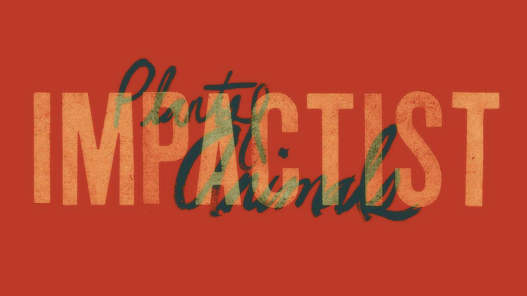 Impactist Summer Song Still Frame 05