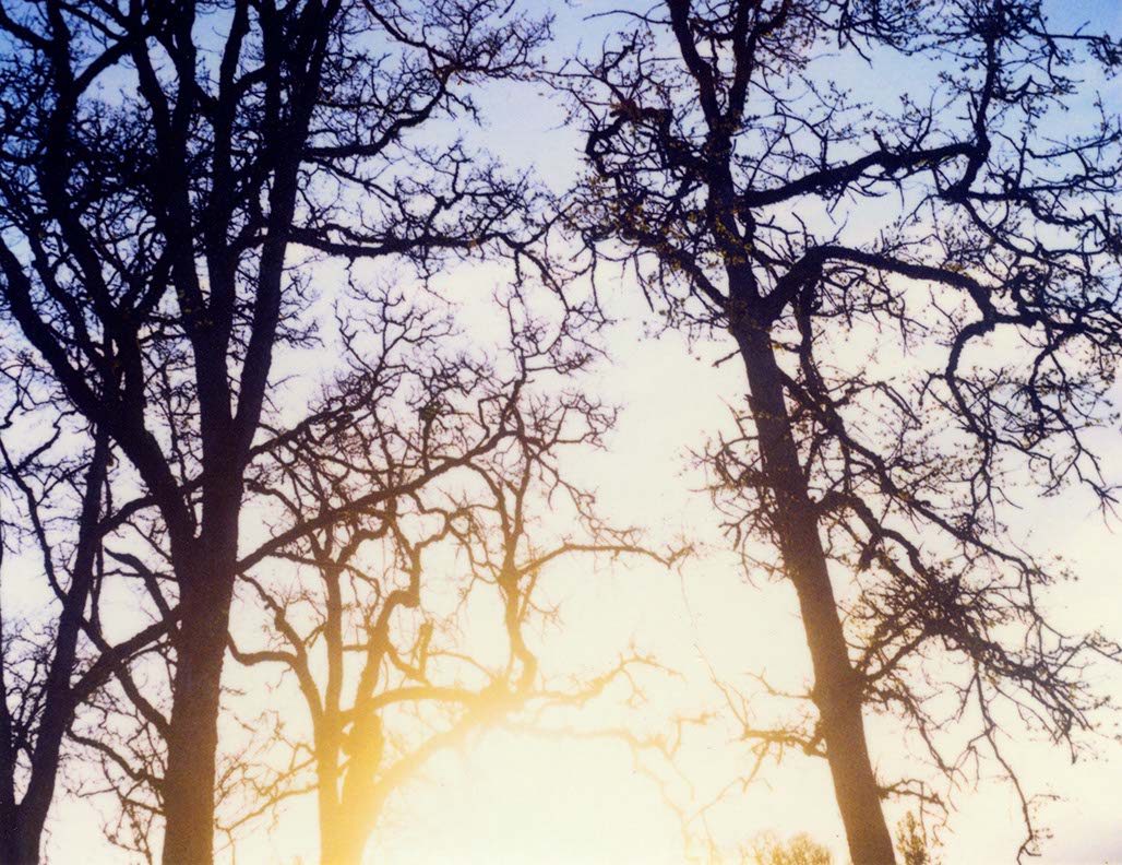 Impactist 600SE Image 01