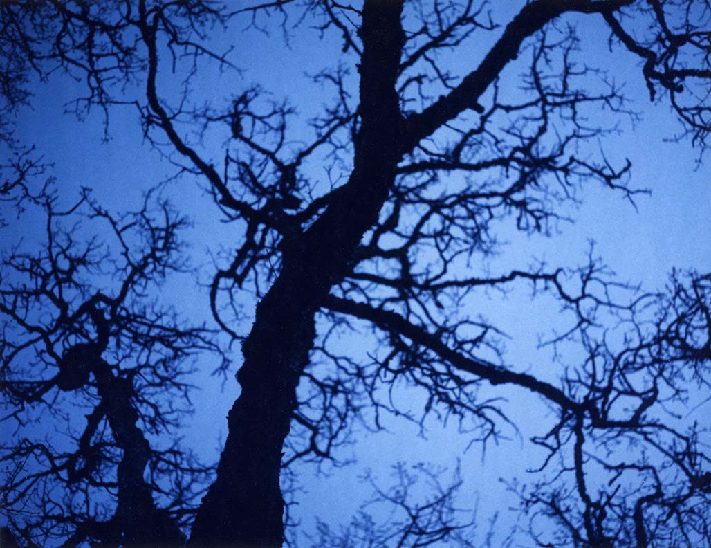 Impactist 600SE Image 02