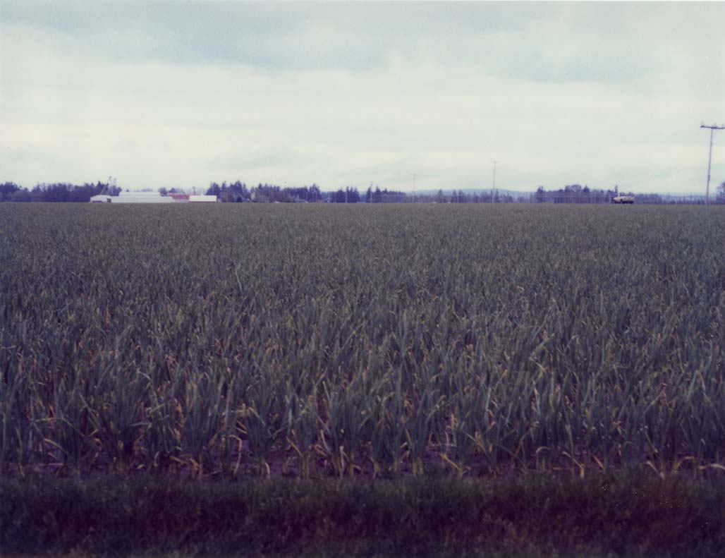 Impactist 600SE Image 10