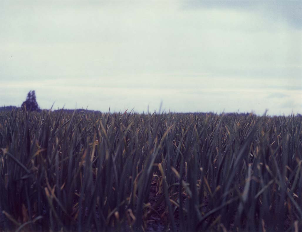 Impactist 600SE Image 11