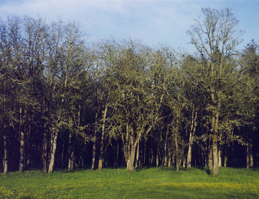 Impactist 600SE Image 15