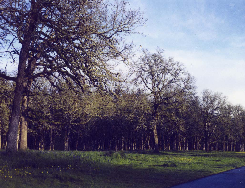 Impactist 600SE Image 16