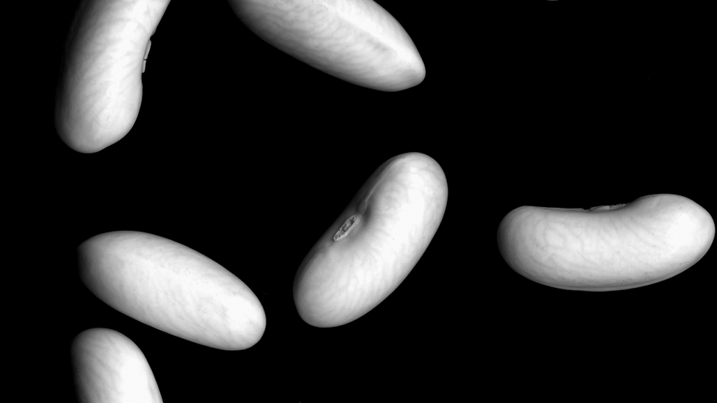 Impactist The Type Writer Still Frame 05