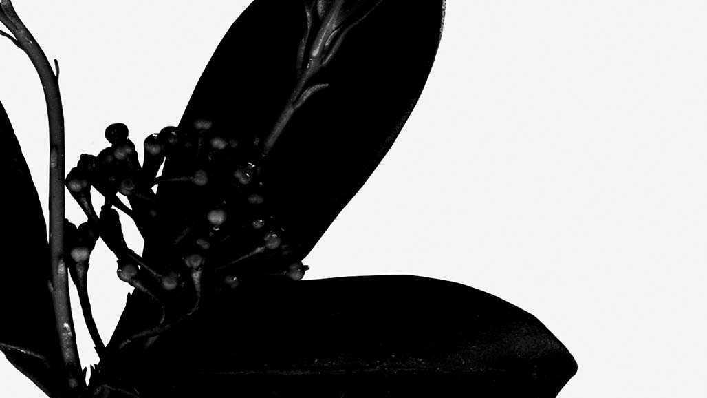 Impactist The Type Writer Still Frame 09