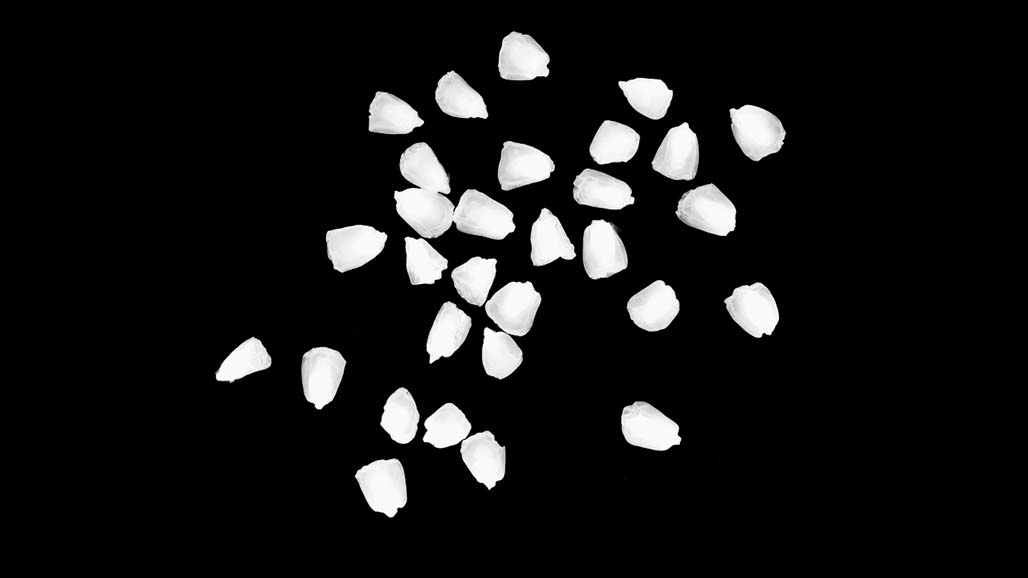 Impactist The Type Writer Still Frame 07