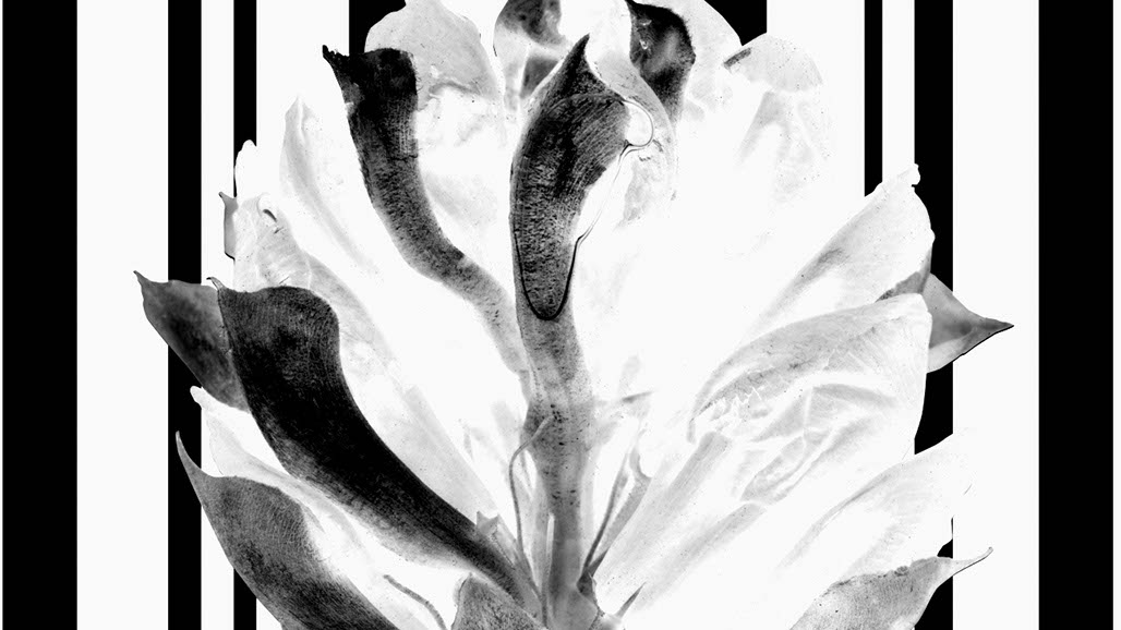 Impactist The Type Writer Still Frame 10