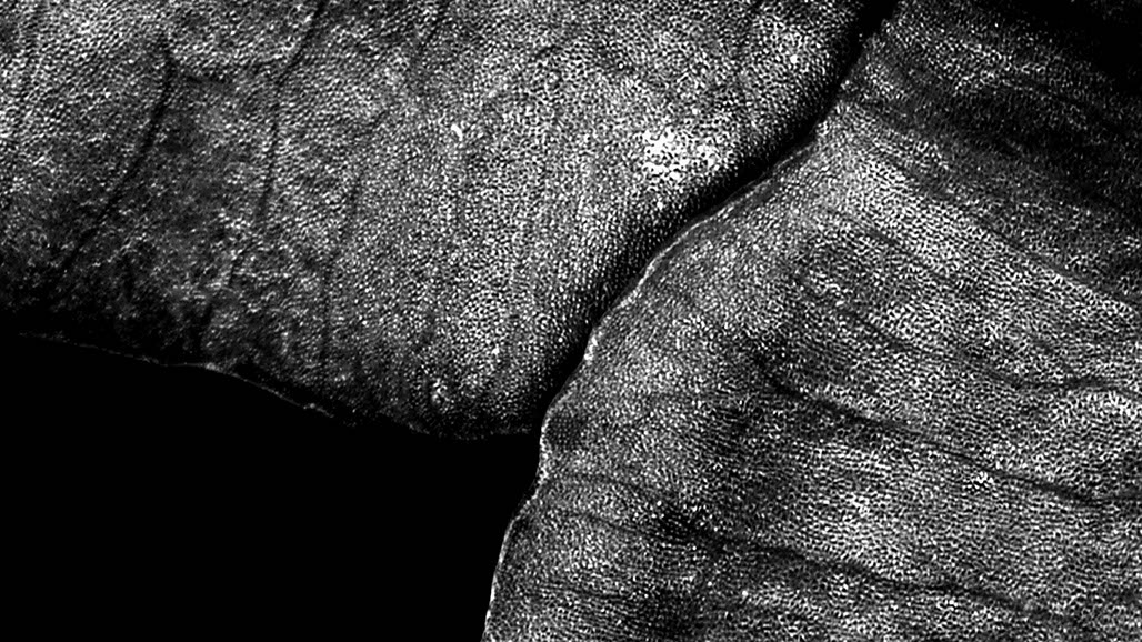 Impactist The Type Writer Still Frame 12